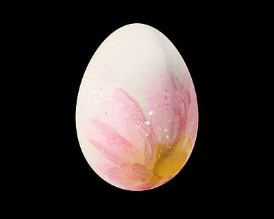 ou de Pasqua, Pasqua, brillant, romàntic, ou, osterkarte, fons negre, frescor, primer pla, tir de l'estudi, cap gent, sol objecte, a l'interior, bellesa a la natura, color rosa, flor, tallar, menjar, vulnerabilitat, naturalesa, còpia espai, pètal, fragilitat, planta, aigua, natura morta, cap de flor, 1080P, CC0, domini públic, lliure de regalies