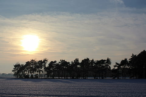 vinterlige, vinter, landskab, sne, snedækket, vinter magi, aftenhimmel, kold, Frosset, frost, is, vinterdag, hvid, Tyskland, isnende, sneet inde, natur, træ, vinterdrøm, eventyr, vinterstemning, sne magi, kunstfærdigt, sol, baglygte, skumring, himmel, plante, solnedgang, skønhed i naturen, scenics - natur, ro, sky - himmel, rolig scene, sollys, ingen mennesker, jord, kold temperatur, orange farve, silhuet, idyllisk, udendørs, 1080P, CC0, offentligt domæne, royaltyfrie