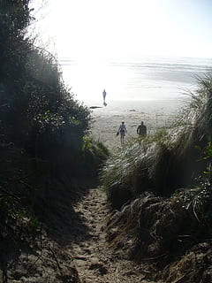 ocean, beach, path, sand, nature, coast, shore, coastline, sky, sea, water, plant, beauty in nature, land, day, scenics - nature, real people, tranquility, tranquil scene, horizon over water, horizon, tree, two people, walking, non-urban scene, outdoors, 1080P, CC0, public domain, royalty free