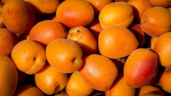 superficial, focalizare fotografie, portocale, fructe lot, rundă, buchet, piersică, alimente, fruct, prospeţime, organic, mâncat sănătos, piaţă, natură, mancare si bautura, copt, galben, culoare portocalie, grup mare de obiecte, bunăstare, fundaluri, cadru complet, abundenţă, nici o persoana, de vânzare, natură moartă, cu amănuntul, vedere în unghi mare, a închide, stand de piață, 4K, CC0, domeniu public, fără drepturi de autor