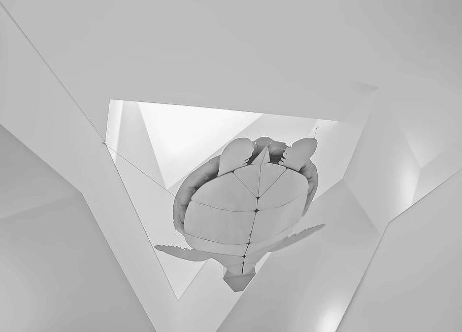 tortuga, retallada, paper, paret, decoració, arquitectura, blanc, volant, aquari, museu, minimalista, buscant, escala, portugal, lisboa, edifici, cap gent, estructura construïda, Color blanc, vista d’angle baix, dia, creativitat, naturalesa, forma, a l'aire lliure, equips d’il·luminació, forma geomètrica, exterior de l'edifici, modern, primer pla, amor, art i artesania, disseny, emoció positiva, sostre, 5K