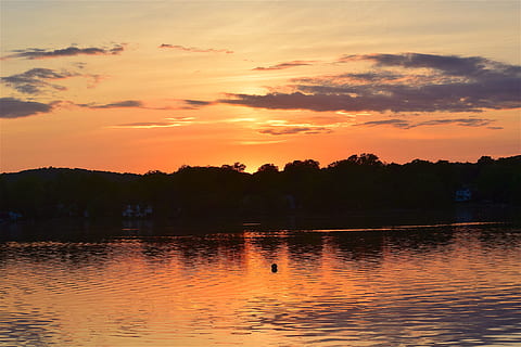 夕焼け、湖, 雲, オレンジ, 日没, 湖, 空, 反射, 自然, 風景, 水, 屋外の, 風光明媚な, 日光, シーン, 海岸, カラフル, 明るい, イブニング, 光, 地平線, シルエット, 景観, 自然の美しさ, 木, 風景 - 自然, 静けさ, 雲 - 空, 静かな情景, 工場, オレンジ色, 無人, ウォーターフロント, 非都市シーン, のどかな, 屋外, 4K