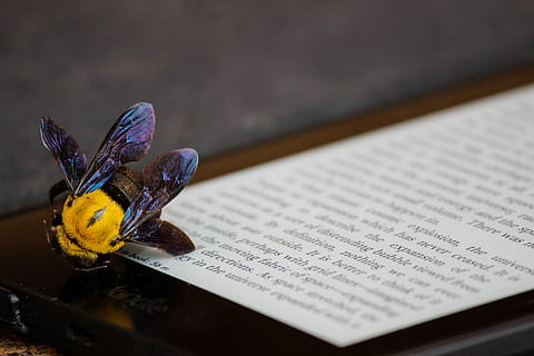 Gelb, lila, hummeln, Biene, entzünden, Ebook Reader, Makroaufnahme, elektronisch, Tablette, elektronischer Leser, Wort, Nummer, Brief, Flügel, Fehler, Buch, lesen, Hummel, Insekt, Makro, keine Leute, drinnen, Tabelle, Text, Veröffentlichung, Papier-, Blume, Nahansicht, blühende Pflanze, Stillleben, Kommunikation, öffnen, High Angle View, Bildung, westliche Schrift, Verletzlichkeit, Tierflügel, Fokus auf den Vordergrund, Natur, Schmetterling - Insekt, 5K, CC0, gemeinfrei, lizenzfrei