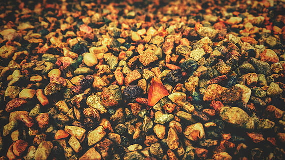 food, desktop, pattern, vegetable, color, nature, season, many, leaf, assortment, epicure, fall, dry, abundance, refreshment, cooking, closeup, group, concrete, full frame, food and drink, backgrounds, no people, large group of objects, still life, close-up, day, freshness, high angle view, textured, solid, outdoors, nut, brown, stone - object, temptation, 4K, CC0, public domain, royalty free