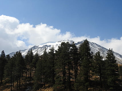 Wald, übersehen, schneebedeckt, Berg, Bäume, Kiefer, Natur, Nebel, Winter, Berglandschaft, Schnee, montieren, Baum, Wolken, Himmel, wolke - himmel, Pflanze, Szenen - Natur, Schönheit in der Natur, Ruhe, ruhige Szene, kalte Temperatur, Nicht-städtische Szene, keine Leute, Tag, schneebedeckter Berg, Umgebung, draußen, Nadelbaum, Gipfel, 4K, CC0, gemeinfrei, lizenzfrei
