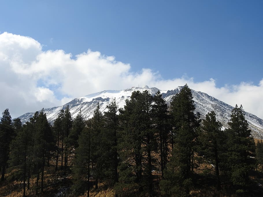 Wald, übersehen, schneebedeckt, Berg, Bäume, Kiefer, Natur, Nebel, Winter, Berglandschaft, Schnee, montieren, Baum, Wolken, Himmel, wolke - himmel, Pflanze, Szenen - Natur, Schönheit in der Natur, Ruhe, ruhige Szene, kalte Temperatur, Nicht-städtische Szene, keine Leute, Tag, schneebedeckter Berg, Umgebung, draußen, Nadelbaum, Gipfel, 4K