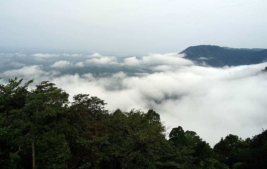 selva tropical, núvols, muntanya, agumbe, panorama, exuberant, verd, escènic, paisatge, bosc, naturalesa, desert, tranquil, medi ambient, Western Ghats, shimoga, karnataka, Índia, arbre, cel, núvol - cel, escenics, cap gent, planta, bellesa a la natura, escenics - natura, boira, cloudscape, terra, escena no urbana, a l'aire lliure, Serra, pi, escena tranquil·la, cim de muntanya, arbre de coníferes, bosc de pi, arbre d’arbre, 2K