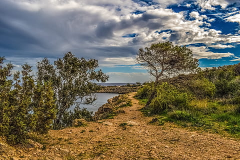 zelená, listy stromů, tráva, útes, moře, zataženo, nebe, cesta, Příroda, strom, krajina, mraky, zimní, národní park, ayia napa, Kypr, mrak - nebe, rostlina, klid, klidné scény, voda, krása v přírodě, scenics - příroda, mimoměstské scény, růst, nikdo, den, přistát, jezero, životní prostředí, venku, 5K, CC0, veřejná doména, bez autorských práv