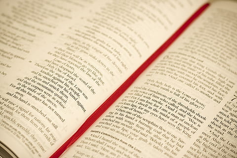 stránky knihy, bible, otevřeno, svatý, rezervovat, náboženství, náboženský, Bůh, stránek, číst, modlitba, katolík, literatura, evangelium, duchovní, Kristus, čtení, příběh, studovat, křesťanství, testament, nikdo, text, vydání, pozadí, celý rám, sdělení, papír, detail, uvnitř, stálý život, umělecká kultura a zábava, vzdělání, západní skript, výkon, stránka, selektivní zaměření, hudba, 2K, CC0, veřejná doména, bez autorských práv