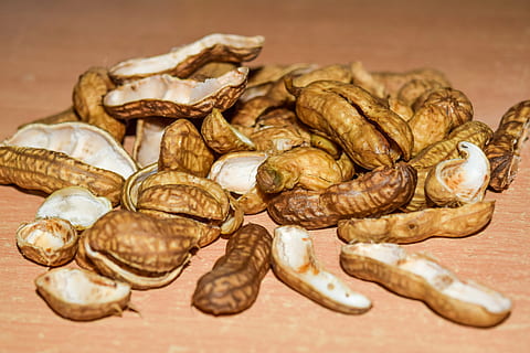 peanuts, nutshells, nuts, shell, brown, organic, cracked, food, food and drink, healthy eating, close-up, freshness, wellbeing, large group of objects, indoors, no people, studio shot, abundance, business, still life, selective focus, ingredient, dried food, table, heap, simplicity, snack, 5K, CC0, public domain, royalty free