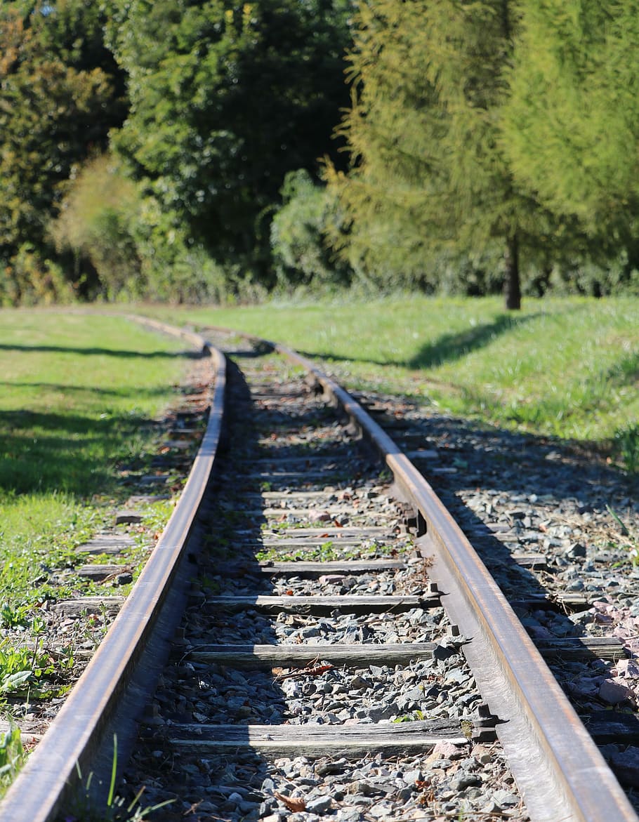 rail, tren, pista, antic, transport, interruptor, fusta, camp, bosc, parc, línia, Camí, transport per ferrocarril, vies del ferrocarril, planta, arbre, naturalesa, cap gent, el camí a seguir, direcció, perspectiva decreixent, dia, terra, creixement, centrar-se en primer pla, metall, punt de fuga, llum solar, a l'aire lliure, color verd, grava, paral·lel, llarg, 5K