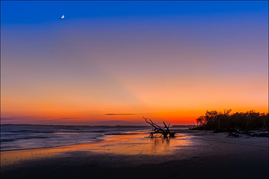 Silhouette, Baum, Seeufer, Sonnenuntergang, hinterleuchtet, Strand, Wolken, Treibholz, Dämmerung, Abend, Landschaft, Mond, Natur, Ozean, draußen, Reflexionen, Sand, Meer, seelandschaft, Himmel, Bäume, Wasser, Wellen, Schönheit in der Natur, Szenen - Natur, Land, orange Farbe, Ruhe, ruhige Szene, Horizont über Wasser, Sonne, idyllisch, wolke - himmel, Horizont, 2K