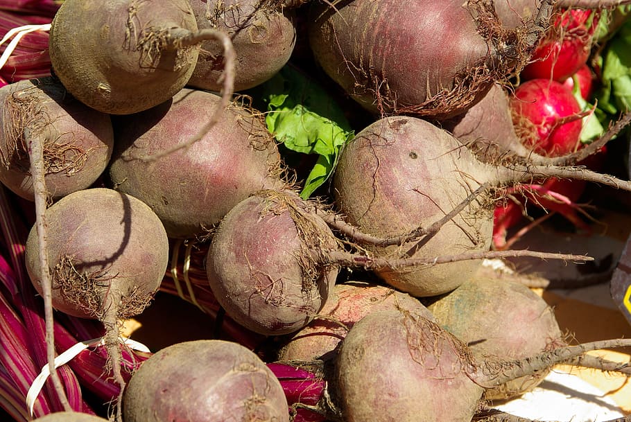 munt, dolç, patates, verdures, remolatxa, arrels, mercat, menjar i beguda, vegetals, menjar, alimentació saludable, frescor, cap gent, benestar, primer pla, marc complet, natura morta, dia, arrel vegetal, aliments crus, orgànic, fons, gran grup d'objectes, a l'aire lliure, ceba, fruita, remolatxa comuna, nap, 4K