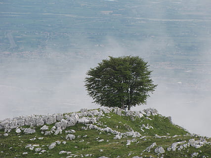 strom, mraky, hora, krajina, nebe, modrý, mrak, ve formě mraků, turistika, průhled, kameny, Příroda, rostlina, voda, krása v přírodě, den, nikdo, klidné scény, klid, scenics - příroda, růst, Skála, rock - objekt, pevný, mrak - nebe, mimoměstské scény, venku, zelená barva, 1080P, CC0, veřejná doména, bez autorských práv