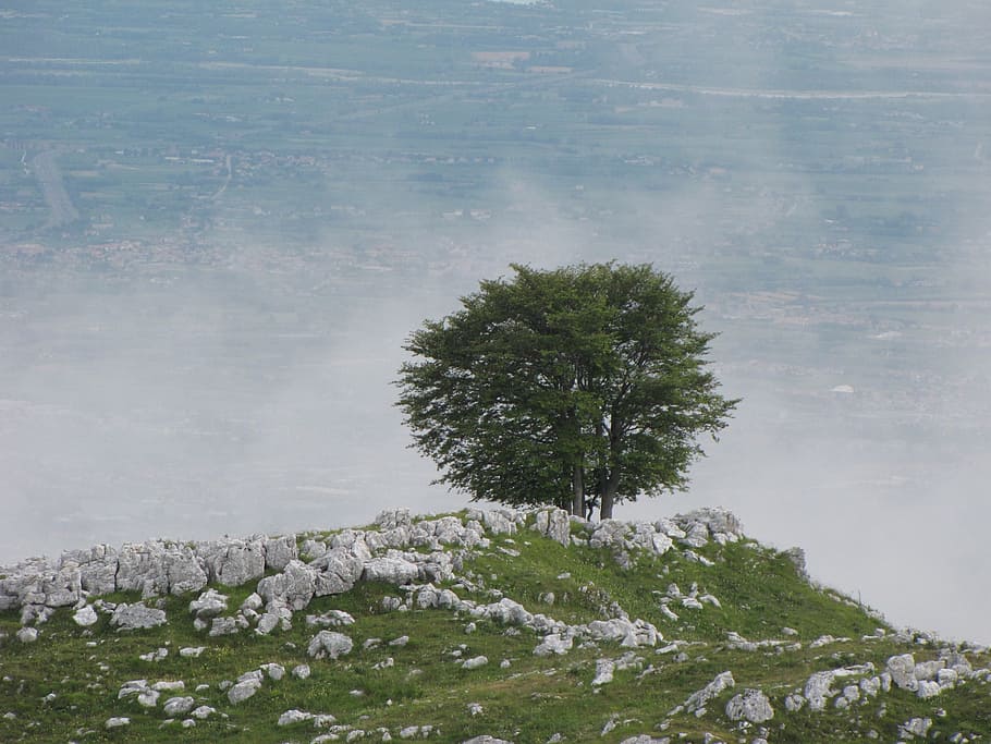 strom, mraky, hora, krajina, nebe, modrý, mrak, ve formě mraků, turistika, průhled, kameny, Příroda, rostlina, voda, krása v přírodě, den, nikdo, klidné scény, klid, scenics - příroda, růst, Skála, rock - objekt, pevný, mrak - nebe, mimoměstské scény, venku, zelená barva, 1080P