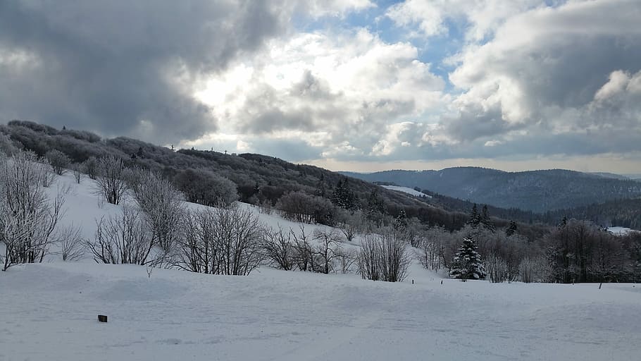 vosges, sol, fred, neu, núvol - cel, hivern, temperatura de fred, cel, bellesa a la natura, escenics - natura, planta, medi ambient, naturalesa, tranquil·litat, arbre, escena tranquil·la, muntanya, cap gent, paisatge, Color blanc, dia, escena no urbana, muntanya nevada, arbre de coníferes, 5K