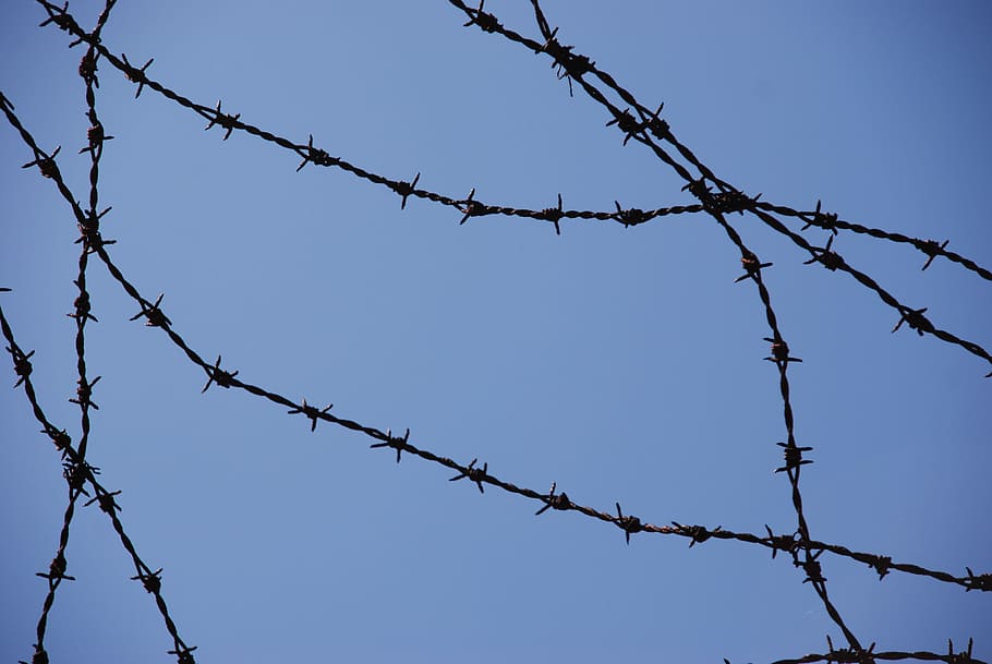 camp de concentració, guerra, camp de concentració, guerra, segona Guerra Mundial, filferro espinós, capturat, camp de treball, seguretat, protecció, filferro de navalla, perill, tanca, barrera, límit, cable, metall, agut, cel, naturalesa, cap gent, dia, senyal d'advertència, signe, vista d’angle baix, prohibit, cel clar, a l'aire lliure, exclusió, 4K