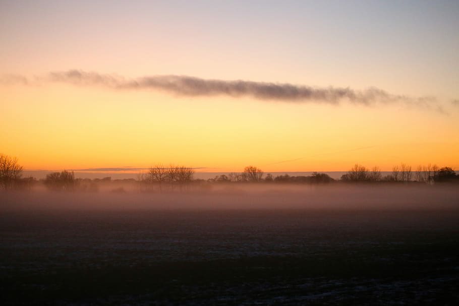 solnedgang, Sky, himmel, natur, aftenhimlen, ro, scenics, skønhed i naturen, rolig scene, tåge, scenics - natur, miljø, landskab, træ, ingen mennesker, plante, idyllisk, ikke-urbane scene, vinter, diset, kold temperatur, sol, udendørs, 5K