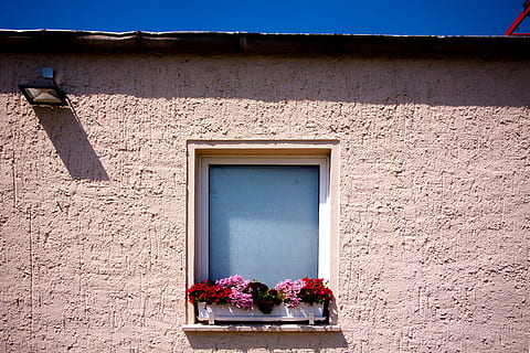 fotografia, rosso, rosa, fiori petalo, finestra, giorno, bianca, di legno, incorniciato, Marrone, calcestruzzo, costruzione, fiori, fiore, sole, parete, luce, Casa, architettura, esterno dell'edificio, Palazzo residenziale, architettura ed edifici, caratteristica della parete, facciata, le case, otturatore, Europa, vecchio, nessuno, all'aperto, struttura costruita, natura, pianta, pianta fiorita, pianta in vaso, luce del sole, Inquadratura dal basso, quartiere residenziale, vaso di fiori, crescita, composizione floreale, 4K, CC0, dominio pubblico, privo di copyright