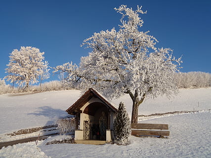 vinter, vinterlige, buske, sne, kold temperatur, træ, plante, natur, arkitektur, himmel, skønhed i naturen, hvid farve, bygning udvendig, Frosset, bygget struktur, scenics - natur, bygning, blå, dag, rolig scene, dækker, ingen mennesker, udendørs, 4K, CC0, offentligt domæne, royaltyfrie