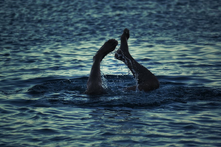 osoba, potápění, voda, nohy, muž, potápět, plavat, moře, splash, svítání, západ slunce, modrý, pohyb, křivka, vlna, pokles, tekoucí, kapalný, stříkající, zvířata ve volné přírodě, jednoho zvířete, zvířat, nikdo, plavání, Příroda, den, venku, nábřeží, zvíře, savec, obratlovců, část těla zvířete, vodní savec, pod vodou, zaměřit se na popředí, námořní, 4K