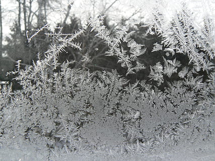 vorst, winter, koude, ijs-, ijsformaties, gel, koude temperatuur, sneeuw, fabriek, natuur, bevroren, geen mensen, kalmte, boom, dag, groei, schoonheid in de natuur, land-, sneeuwvlok, veld-, focus op de voorgrond, detailopname, buitenshuis, extreem weer, sneeuwstorm, naaldboom, 2K, CC0, publiek domein, royaltyvrij