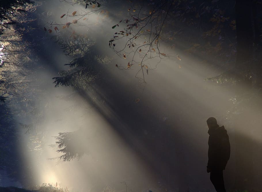silhuet foto, mand, stående, ray, lys, morgen, skygge, silhuet, helvede, sol, humør, rolige, landskab, Skov, tåge, lyse, væk, træ, kanten af ​​skoven, solopgang, solstråle, baglygte, natur, vinter, herrer, mørk, udendørs, plante, rigtige mennesker, livsstil, himmel, en person, afspejling, lav vinkel visning, fritidsaktivitet, sky - himmel, vand, skønhed i naturen, dag, 1080P