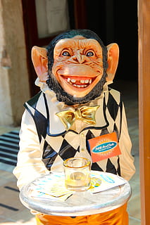 monkey, buttler, operation, waiter, control, smiling, front view, one person, portrait, real people, looking at camera, table, food and drink, leisure activity, emotion, happiness, focus on foreground, waist up, lifestyles, representation, males, day, close-up, men, glass, 5K, CC0, public domain, royalty free