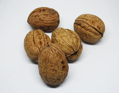 cinc nous marrons, Fruits secs, avellanes, nous, ametlles, fruita, shell, avellaner, aliments, menjar, nou - aliments, closca de nou, marró, llavor, noguera, primer pla, naturalesa, orgànic, berenar, menjar i beguda, nou, benestar, alimentació saludable, fons blanc, a l'interior, grup d'objectes, tir de l'estudi, cap gent, frescor, natura morta, ametlla, petit grup d'objectes, 2K, CC0, domini públic, lliure de regalies