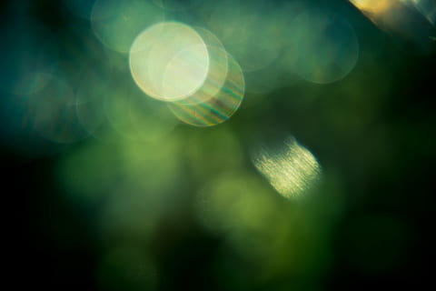 bokeh a luce bianca, bokeh, effetto, verde, struttura, il giro, luce, buio, sfondo, film, orizzonte, aria, all'aperto, lente, telecamera, fresco, dom, defocused, sfondi, astratto, brillante, cerchio, effetti fotografici, luminosa, modello, illuminato, riflesso lente, nessuno, colore verde, avvicinamento, natura, pianta, bellezza nella natura, giorno, messa a fuoco selettiva, albero, luce - fenomeno naturale, la tranquillità, fotogramma intero, sfondi astratti, 5K, CC0, dominio pubblico, privo di copyright