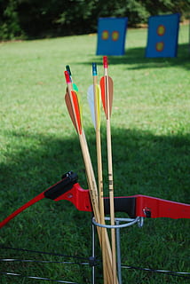 arco, freccia, tiro con l'arco, bersaglio, gioco, sport, rosso, erba, concentrarsi sulle conoscenze acquisite, giorno, pianta, campo, natura, nessuno, terra, all'aperto, avvicinamento, bandiera, colore verde, luce del sole, assenza, obiettivo sportivo, crescita, legno - materiale, 4K