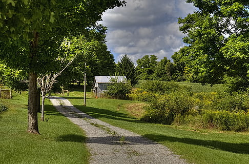 lade, rustik, staldene, ohio, digital kunst, landdistrikterne, naturskøn, Land, landskabet, landskab, skur, skure, gård, gårde, landbrug, landbrugs, stuehus, Champaign, region, americana, Foto, fotografi, struktur, strukturer, sturgell, william sturgell, bill sturgell, historisk, hjem indretning, bygninger, skyer, himmel, træ, træer, overskyet, ukrudt, champaign county, Urbana, plante, grøn farve, græs, sky - himmel, natur, vækst, dag, jord, rolig scene, ro, Mark, sollys, ingen mennesker, sti, skønhed i naturen, sport, skygge, udendørs, 5K, CC0, offentligt domæne, royaltyfrie