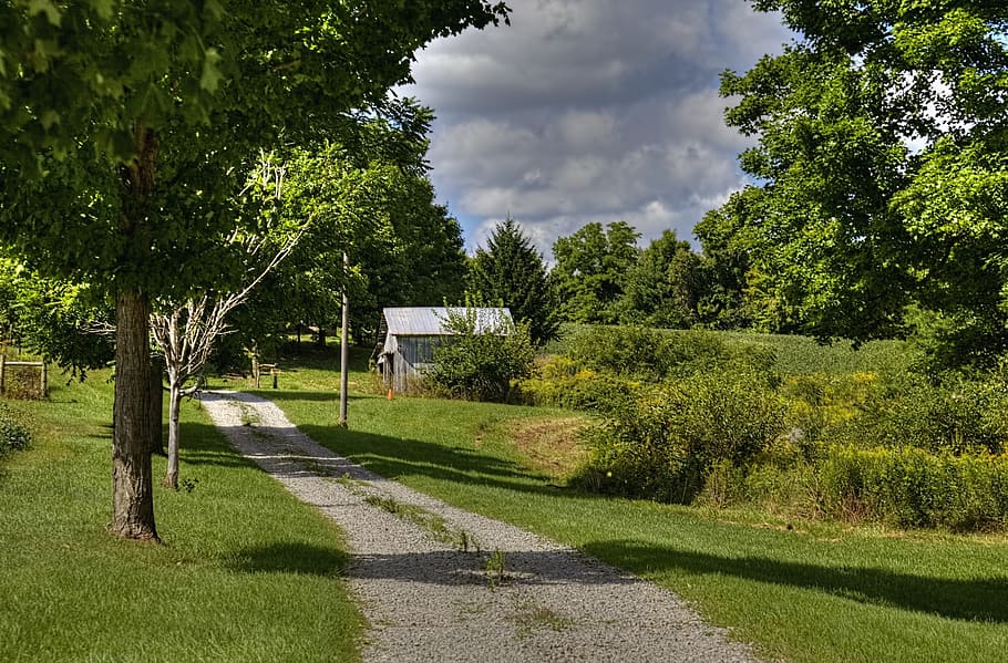 lade, rustik, staldene, ohio, digital kunst, landdistrikterne, naturskøn, Land, landskabet, landskab, skur, skure, gård, gårde, landbrug, landbrugs, stuehus, Champaign, region, americana, Foto, fotografi, struktur, strukturer, sturgell, william sturgell, bill sturgell, historisk, hjem indretning, bygninger, skyer, himmel, træ, træer, overskyet, ukrudt, champaign county, Urbana, plante, grøn farve, græs, sky - himmel, natur, vækst, dag, jord, rolig scene, ro, Mark, sollys, ingen mennesker, sti, skønhed i naturen, sport, skygge, udendørs, 5K
