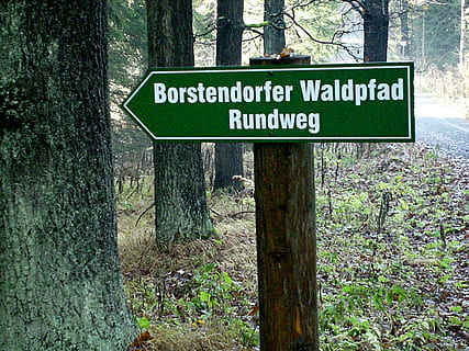 directory, direction, wise direction, signposts, sign, text, western script, communication, tree, plant, information, guidance, information sign, forest, day, growth, no people, tree trunk, nature, trunk, land, warning sign, capital letter, road sign, outdoors, woodland, message, 2K, CC0, public domain, royalty free