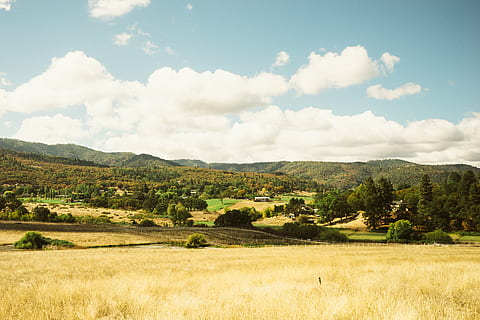 camp, peisaj, natură, rural, agricultură, deal, fermă, vară, în aer liber, luncă, cer, copac, scenics, teren, iarbă, Italia, Europa, Munte, nor - cer, mediu inconjurator, scenice - natura, plantă, frumusețe în natură, liniște, o scenă liniștită, zi, nici o persoana, Culoarea verde, scenă non-urbană, creştere, rulare peisaj, 1080P, CC0, domeniu public, fără drepturi de autor