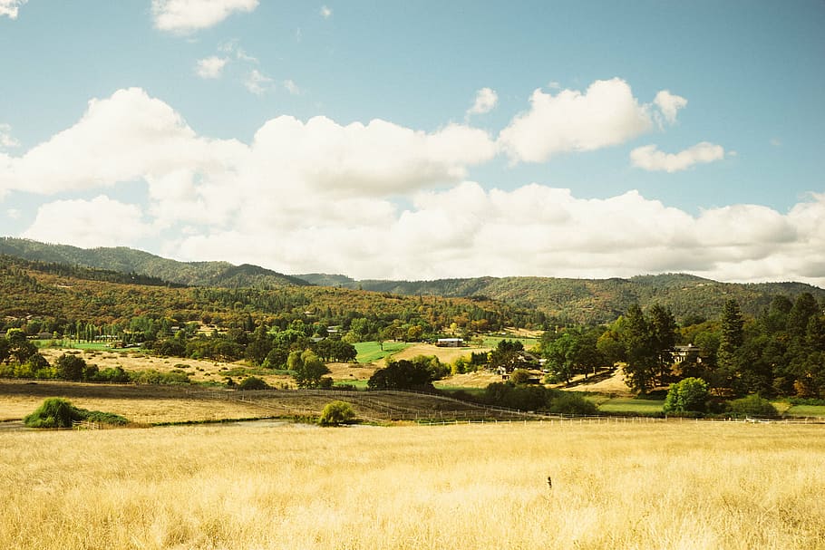 camp, peisaj, natură, rural, agricultură, deal, fermă, vară, în aer liber, luncă, cer, copac, scenics, teren, iarbă, Italia, Europa, Munte, nor - cer, mediu inconjurator, scenice - natura, plantă, frumusețe în natură, liniște, o scenă liniștită, zi, nici o persoana, Culoarea verde, scenă non-urbană, creştere, rulare peisaj, 1080P