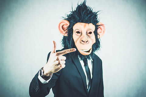 monyet, aplikasi, latihan, bisnis, potret, memulai, presentasi, logo, pertemuan, pengusaha, profesi, dasi, pengelolaan, kaufmann, pemenang, kerja, keberhasilan, keterampilan, manajer, karier, gaya hidup, dinamis, kemeja, tempat kerja, koki, kantor, Konsultan pajak, pekerjaan kantor, sesuai, lucu, birokrasi, pemimpin, profesional, bos, pakaian, konsultan, spesialis, berhasil, pemimpin tim, dua, melihat kamera, satu orang, tembakan studio, emosi, dalam ruangan, Raut Wajah, dewasa, skema, memberi isyarat, tampak depan, humor, menyenangkan, bagian tubuh manusia, rambut hitam, tertembak di kepala, latar belakang berwarna, rambut, gaya rambut, mulut terbuka, membuat wajah, agresi, 4K, CC0, domain publik, bebas royalti