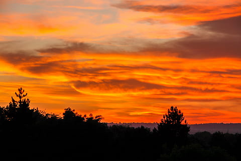 posta de sol, naturalesa, cel, núvols, bonic, increïble, dramàtica, paisatge, viatjar, bulgària, a l'aire lliure, paisatge natural, arbre, silueta, color taronja, escenics, núvol - cel, planta, bellesa a la natura, escenics - natura, tranquil·litat, escena tranquil·la, cel dramàtic, cap gent, medi ambient, idíl·lic, creixement, escena no urbana, cel romàntic, taronja, 4K, CC0, domini públic, lliure de regalies