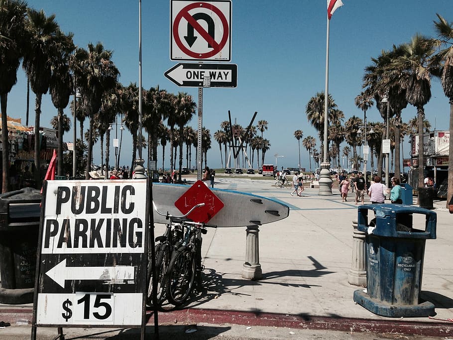 bianca, nero, pubblico, parcheggio segno di $ 15, albero, Palma, cartello, avvertimento, parcheggio, comunicazione, testo, sceneggiatura occidentale, segnale stradale, strada, segnale di pericolo, informazione, clima tropicale, segno di informazione, giorno, pianta, guida, natura, città, mezzi di trasporto, persone accessorie, all'aperto, 2K