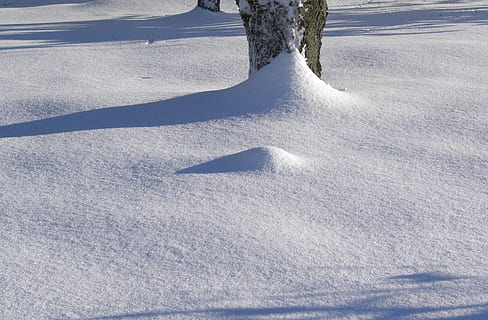 vinterlige, træ, sne, vinter magi, kold temperatur, vinter, natur, skygge, ingen mennesker, dag, jord, skønhed i naturen, sollys, hvid farve, landskab, Mark, dækker, miljø, udendørs, sport, scenics - natur, pulver sne, 2K, CC0, offentligt domæne, royaltyfrie