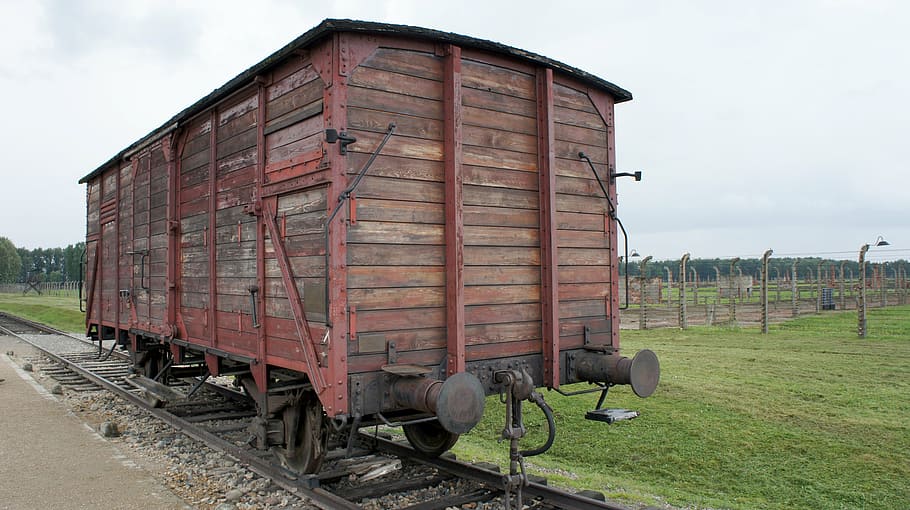 zavřít, fotografování, hoří, zelená, travnaté hřiště, Osvětim, vlak, doprava, válka, trestního stíhání, Židé, koncentrační tábor, den, přeprava, venku, tráva, nikdo, venkovské scény, nebe, železniční dopravy, způsob dopravy, Příroda, železniční trať, vlak - vozidlo, mrak - nebe, dráha, architektura, zemědělství, dřevo - materiál, stavba, podnikání, exteriér budovy, krajina, 4K
