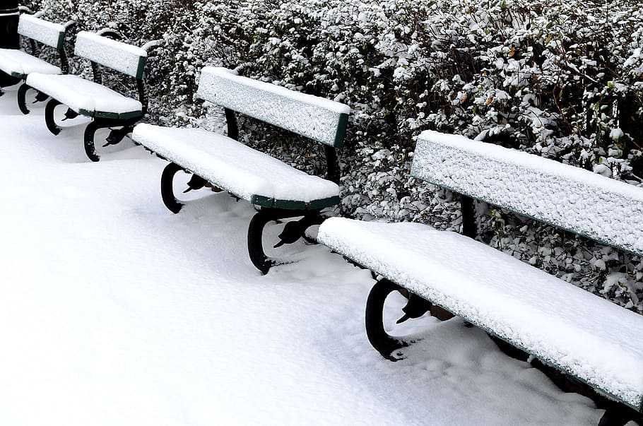 busk, snø, benk, bakgrunn, sesonger, svart, hvit, vinter, frost, natur, makro, kaldtemperatur, sete, ingen folk, dag, parkbenk, parkere, frossen, fravær, park - mann gjort plass, tømme, hvit farge, ro, skjønnhet i naturen, dekker, utendørs, 4K