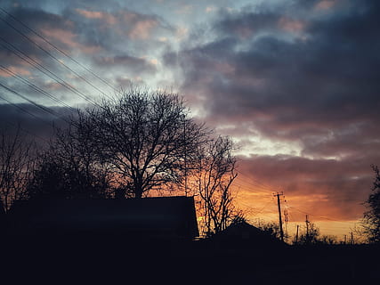 silhuet foto, bar, træer, gylden, time, baggrundsbelyst, skyer, mørk, daggry, dramatisk, skumring, tidlig morgen, aften, efterår, gylden time, huse, landskab, lys, lav vinkel skud, morgen, natur, udendørs, naturskøn, silhuet, himmel, sol, solnedgang, vejr, sky - himmel, træ, bare træ, plante, arkitektur, ingen mennesker, bygget struktur, skønhed i naturen, lav vinkel visning, bygning udvendig, scenics - natur, bygning, ro, 4K, CC0, offentligt domæne, royaltyfrie