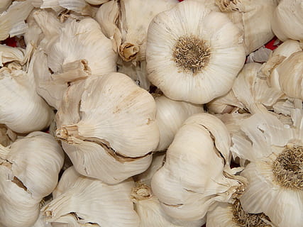 All, agut, aromàtic, tubercle, substancial, olor, planta medicinal, verdures, blanc, menjar, espècia, herba, vegetals, orgànic, frescor, alimentació saludable, aliments crus, ingredient, menjar vegetarià, condiment, primer pla, menjar i beguda, marc complet, benestar, natura morta, fons, bulb d’all, cap gent, gran grup d'objectes, vista d’angle alt, abundància, a l'interior, gra d'all, 2K, CC0, domini públic, lliure de regalies