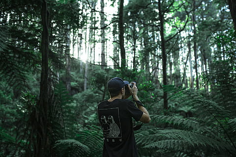 camera, foliage, forest, man, nature, person, photographer, photography, taking photo, trees, vegetation, women, outdoors, people, tree, plant, land, one person, leisure activity, real people, woodland, activity, lifestyles, growth, green color, hiking, day, standing, casual clothing, adult, backpack, 1080P, CC0, public domain, royalty free