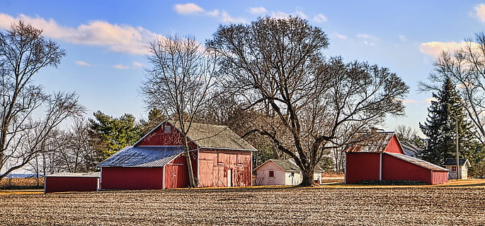 celeiro, rústico, celeiros, ohio, arte digital, rural, cênico, país, campo, cenário, galpão, galpões, Fazenda, fazendas, agricultura, agrícola, casa de fazenda, champaign, município, americana, foto, fotografia, estrutura, Estruturas, sturgell, William Sturgell, conta sturgell, histórico, decoração de casa, prédios, nuvens, céu, árvore, arvores, nublado, céus, ervas daninhas, condado de champaign, urbana, arquitetura, estrutura construída, exterior do edifício, plantar, nuvem - céu, construção, casa, natureza, ninguém, edifício agrícola, árvore nua, cena rural, panorama, dia, terra, ao ar livre, chalé, 5K, CC0, domínio público, royalty free