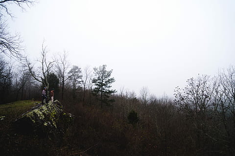 Brun, felter, dagtimerne, fotografering, bladløse træer, Skov, mand, træ, klippeafsats, vandring, afdeling, vandretur, ven, klint, natur, ødemark, kold, ensom, outcrop, efterår, plante, himmel, ro, rigtige mennesker, jord, en person, rolig scene, skønhed i naturen, ikke-urbane scene, livsstil, stående, fritidsaktivitet, dag, herrer, Mark, skyfri himmel, scenics - natur, udendørs, 4K, CC0, offentligt domæne, royaltyfrie