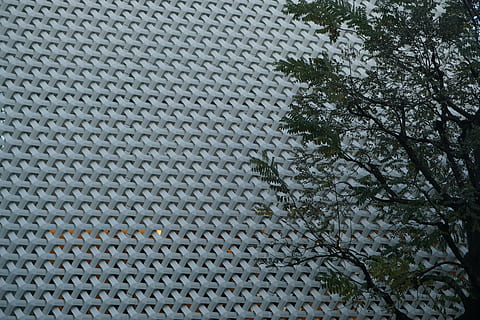 geometry, architecture, contrast, texture, no people, plant, tree, pattern, full frame, day, nature, high angle view, backgrounds, built structure, water, outdoors, beauty in nature, winter, growth, close-up, building exterior, 5K, CC0, public domain, royalty free
