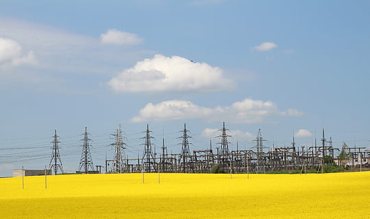 Lap, Electricity, Rape, Energy, electric power, transmission towers, sky, no people, cable, electricity pylon, day, yellow, technology, cloud - sky, nature, power supply, connection, fuel and power generation, power line, landscape, built structure, environment, outdoors, land, field, electrical grid, 4K, CC0, public domain, royalty free