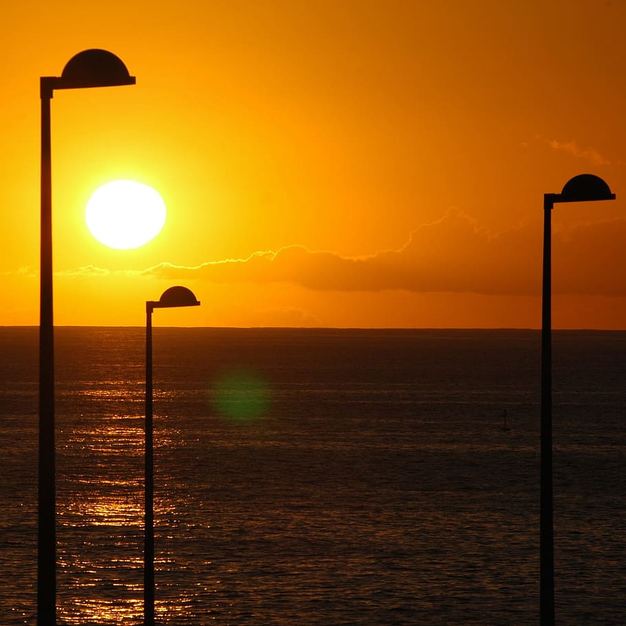 luce del sole, raggio di sole, lanterna, sole, luce, cielo, paesaggio, abendstimmung, tramonto, natura, allagato, mare, silhouette, spiaggia, acqua, scenics - natura, bellezza nella natura, colore arancione, orizzonte sull'acqua, scena tranquilla, vertebrato, la tranquillità, temi animali, orizzonte, uccello, animale, animali allo stato selvatico, nessuno, all'aperto, post in legno, 1080P